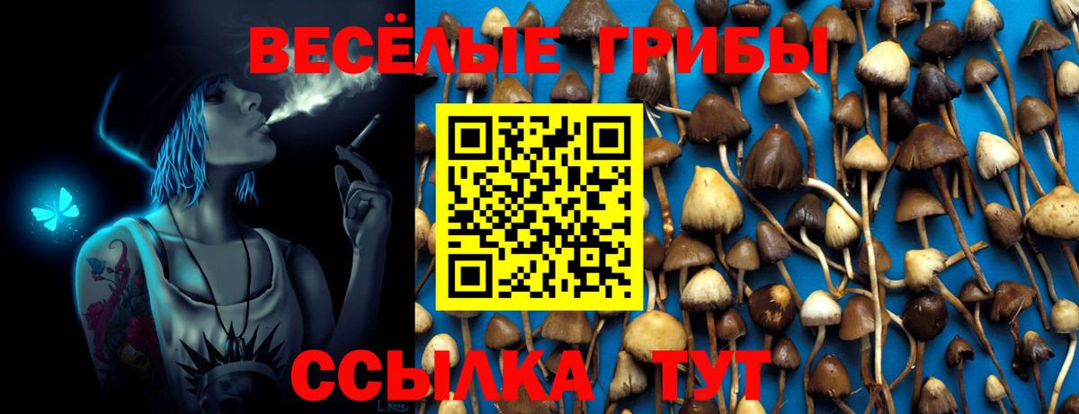 Галлюциногенные грибы Cubensis Ростов-на-Дону